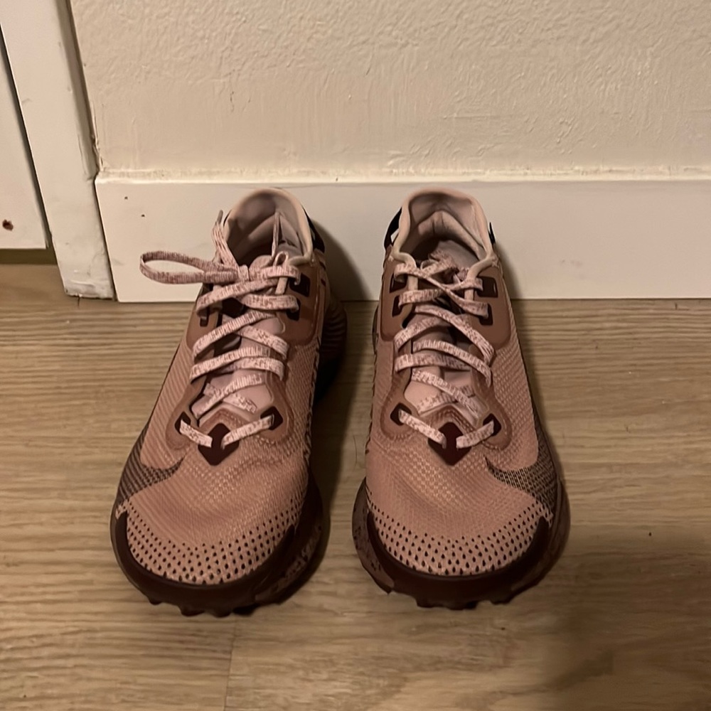 Nike Pegasus Trail 2 GORE-TEX
